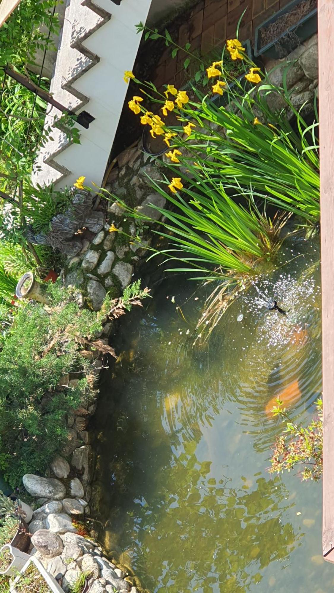 Willa Saint Paul De Vence Damyang Pokój zdjęcie